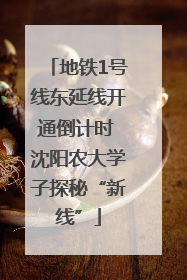 地铁1号线东延线开通倒计时 沈阳农大学子探秘“新线”