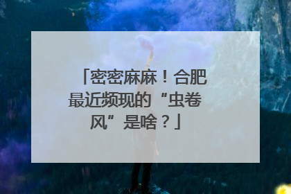密密麻麻！合肥最近频现的“虫卷风”是啥？