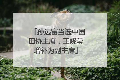 孙远富当选中国田协主席，王晓莹增补为副主席