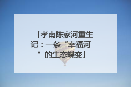 孝南陈家河重生记：一条“幸福河”的生态蝶变