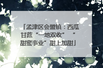 孟津区会盟镇：西瓜甘蔗“一地双收” “甜蜜事业”甜上加甜