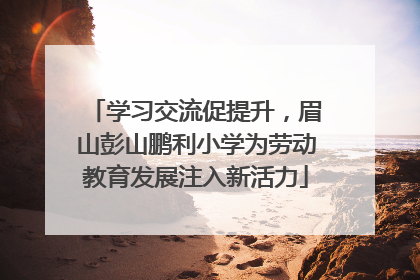 学习交流促提升，眉山彭山鹏利小学为劳动教育发展注入新活力