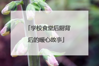 学校食堂后厨背后的暖心故事