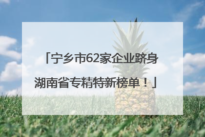 宁乡市62家企业跻身湖南省专精特新榜单！