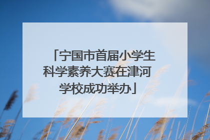 宁国市首届小学生科学素养大赛在津河学校成功举办