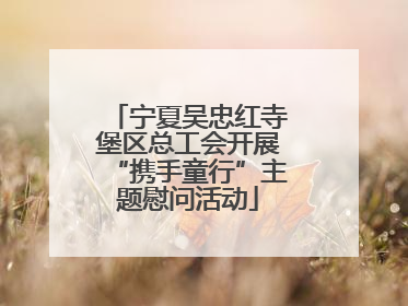 宁夏吴忠红寺堡区总工会开展“携手童行”主题慰问活动