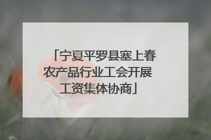 宁夏平罗县塞上春农产品行业工会开展工资集体协商