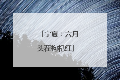 宁夏：六月头茬枸杞红