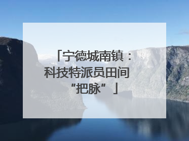 宁德城南镇：科技特派员田间“把脉”