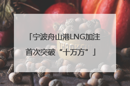 宁波舟山港LNG加注首次突破“十万方”