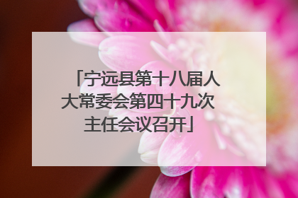 宁远县第十八届人大常委会第四十九次主任会议召开