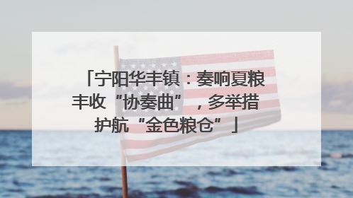 宁阳华丰镇：奏响夏粮丰收“协奏曲”，多举措护航“金色粮仓”