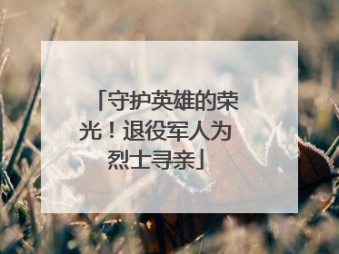 守护英雄的荣光！退役军人为烈士寻亲