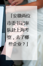安徽两位市委书记率队赴上海考察，去了哪些企业？