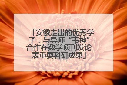 安徽走出的优秀学子，与导师“韦神”合作在数学顶刊发论表重要科研成果
