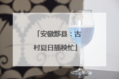 安徽黟县：古村夏日插秧忙