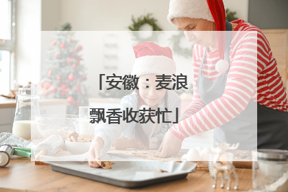 安徽：麦浪飘香收获忙