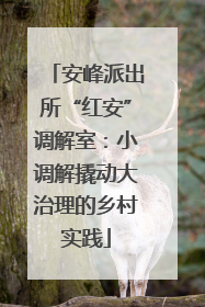 安峰派出所“红安”调解室：小调解撬动大治理的乡村实践