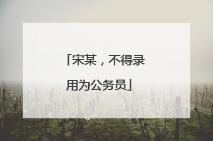 宋某，不得录用为公务员