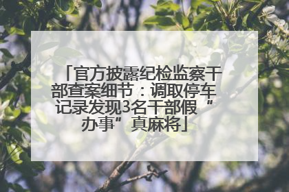 官方披露纪检监察干部查案细节：调取停车记录发现3名干部假“办事”真麻将