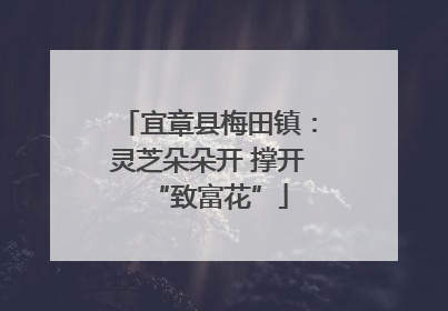 宜章县梅田镇：灵芝朵朵开 撑开“致富花”