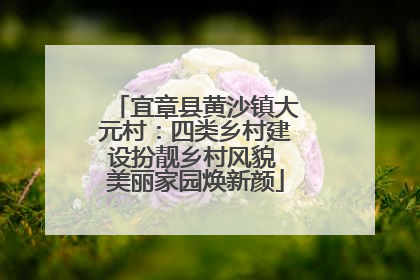 宜章县黄沙镇大元村：四类乡村建设扮靓乡村风貌 美丽家园焕新颜