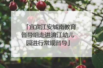 宜宾江安城南教育督导组走进淯江幼儿园进行常规督导
