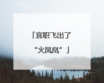 宜职飞出了“火凤凰”