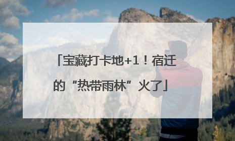 宝藏打卡地+1！宿迁的“热带雨林”火了