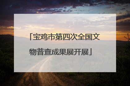 宝鸡市第四次全国文物普查成果展开展