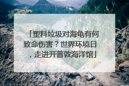 塑料垃圾对海龟有何致命伤害？世界环境日，走进开普敦海洋馆