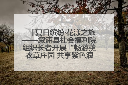 夏日缤纷·花漾之旅——溆浦县社会福利院组织长者开展“畅游薰衣草庄园 共享紫色浪漫”户外活动