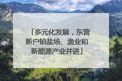 多元化发展，东营新户镇盐场、渔业和新能源产业并进