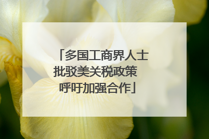 多国工商界人士批驳美关税政策 呼吁加强合作