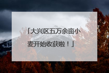 大兴区五万余亩小麦开始收获啦！