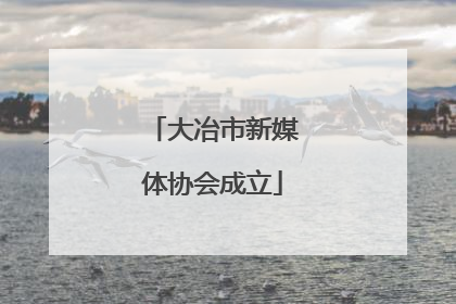 大冶市新媒体协会成立