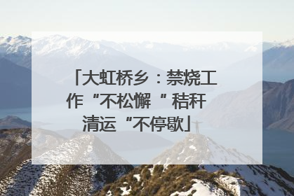 大虹桥乡：禁烧工作“不松懈“ 秸秆清运“不停歇
