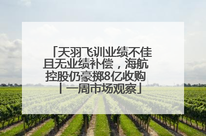 天羽飞训业绩不佳且无业绩补偿，海航控股仍豪掷8亿收购丨一周市场观察