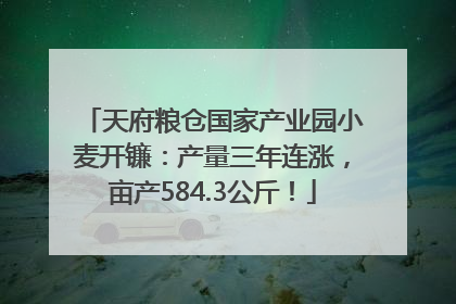 天府粮仓国家产业园小麦开镰：产量三年连涨，亩产584.3公斤！