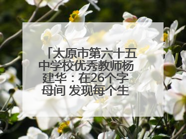 太原市第六十五中学校优秀教师杨建华：在26个字母间 发现每个生命的独特光芒