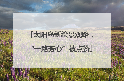 太阳岛新绘景观路，“一路芳心”被点赞