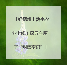 好德州丨数字农业上线！探寻车厘子“甜蜜密码”