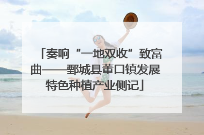 奏响“一地双收”致富曲——鄄城县董口镇发展特色种植产业侧记