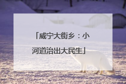 威宁大街乡：小河道治出大民生