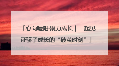 心向暖阳·聚力成长|一起见证骄子成长的“破茧时刻”