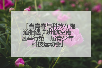 当青春与科技在跑道相遇 郑州航空港区举行第一届青少年科技运动会