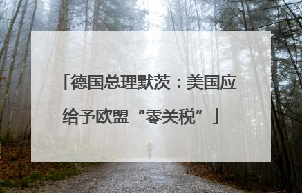 德国总理默茨：美国应给予欧盟“零关税”