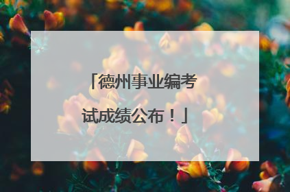 德州事业编考试成绩公布！