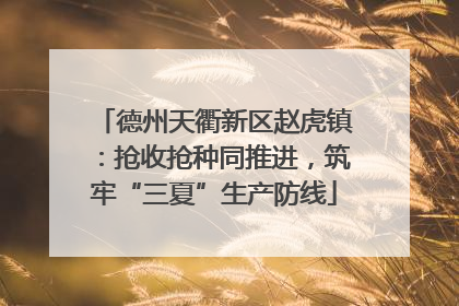 德州天衢新区赵虎镇：抢收抢种同推进，筑牢“三夏”生产防线