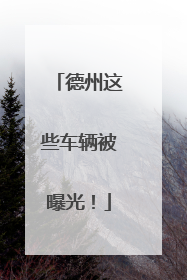 德州这些车辆被曝光！